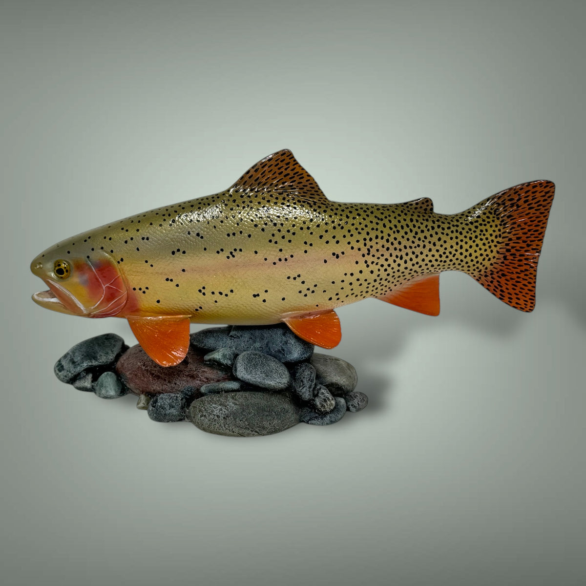 Cutthroat Trout Pedestal mount 12”