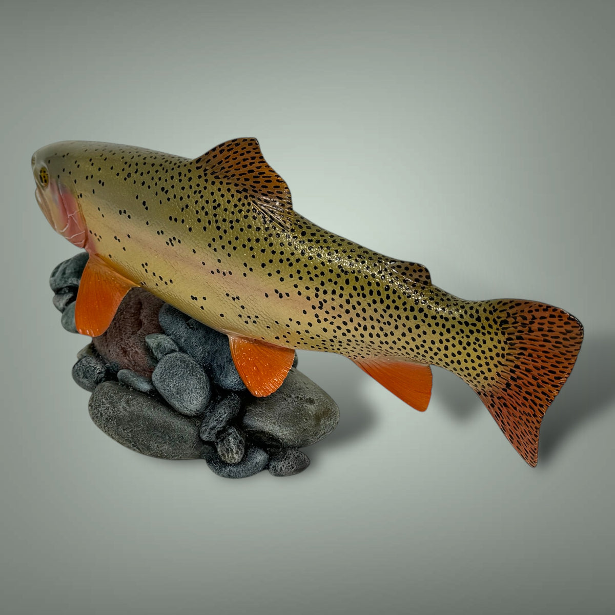 Cutthroat Trout Pedestal mount 12”