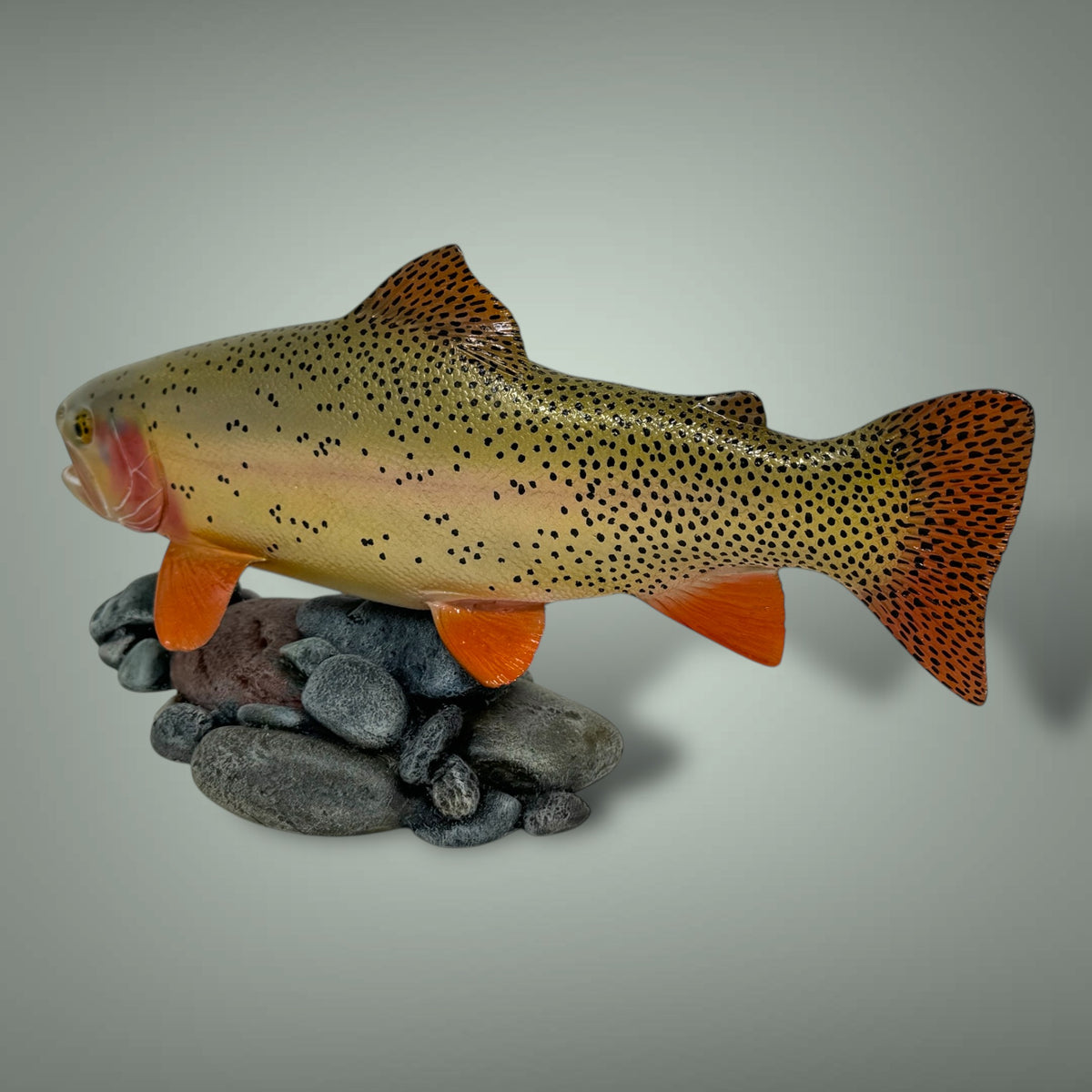 Cutthroat Trout Pedestal mount 12”