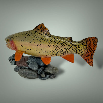 Cutthroat Trout Pedestal mount 12”