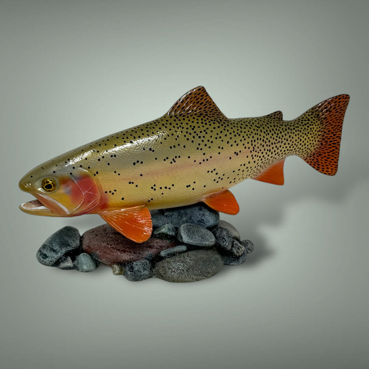 Cutthroat Trout Pedestal mount 12”