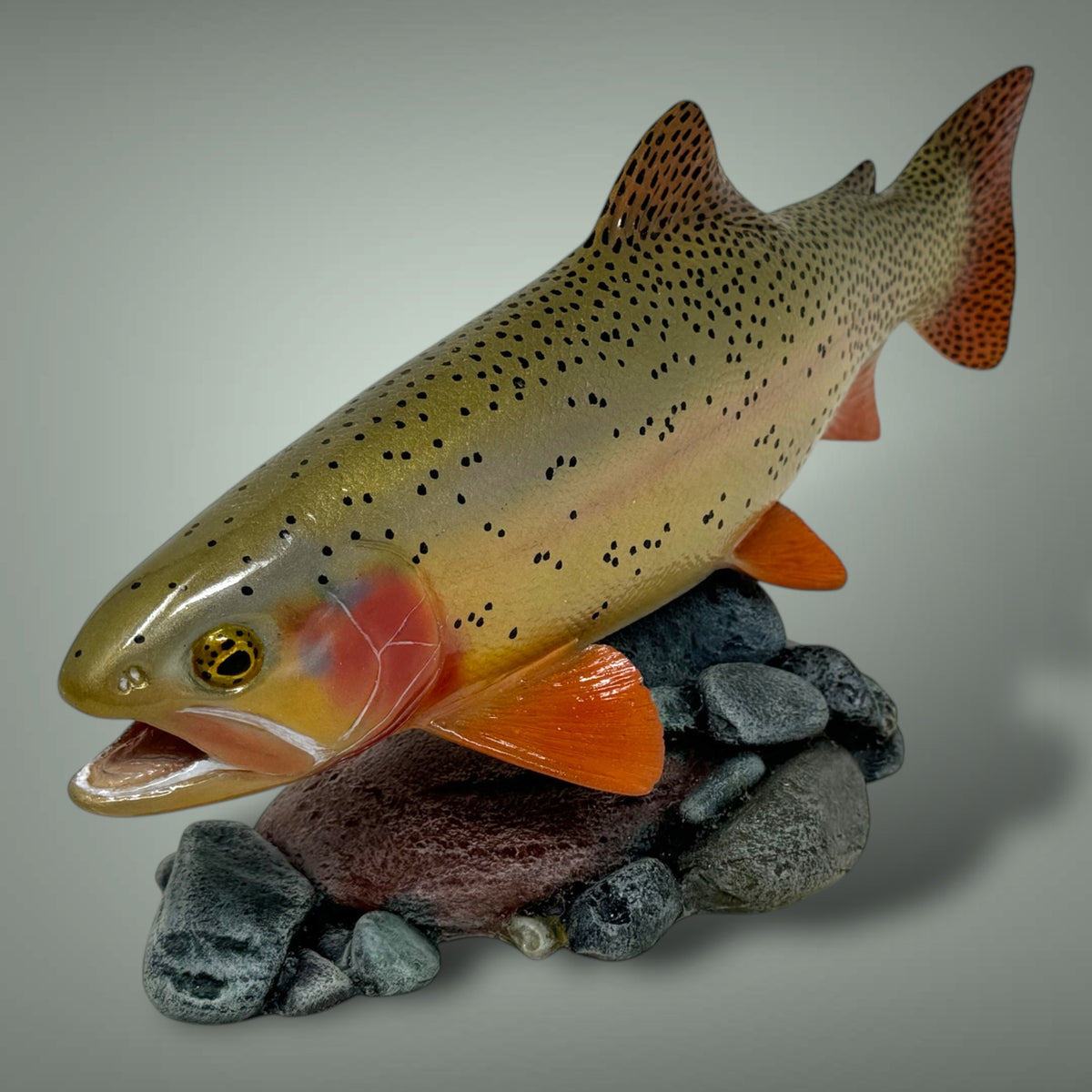 Cutthroat Trout Pedestal mount 12”