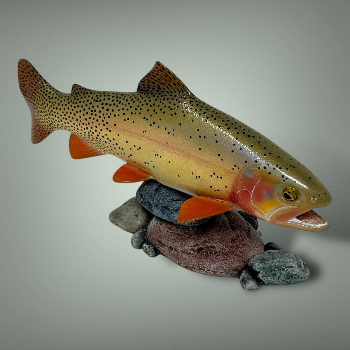 Cutthroat Trout Pedestal mount 12”