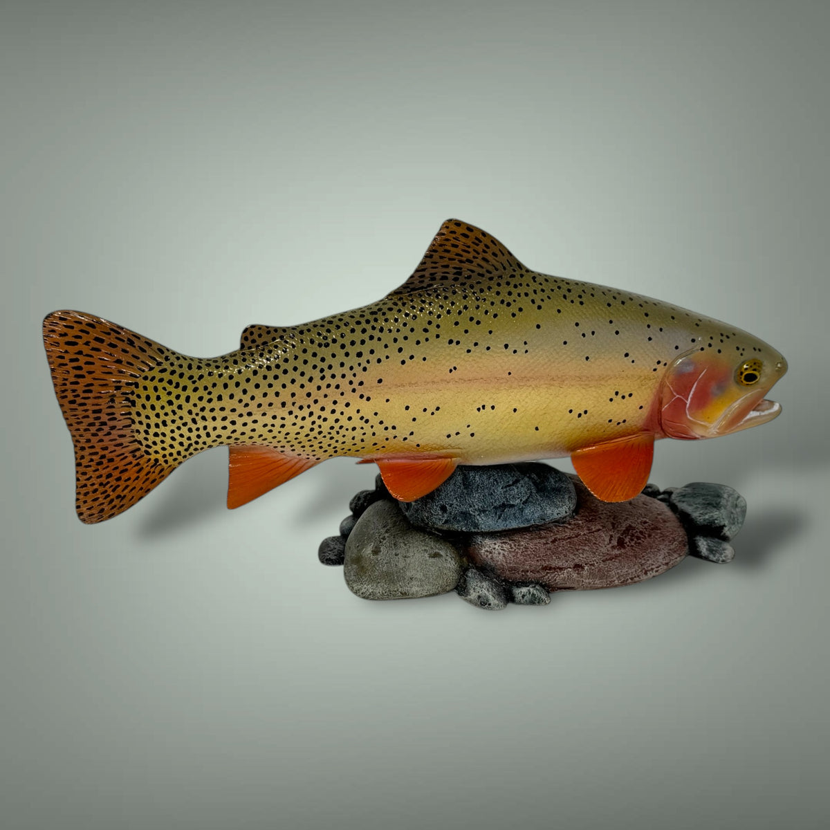 Cutthroat Trout Pedestal mount 12”