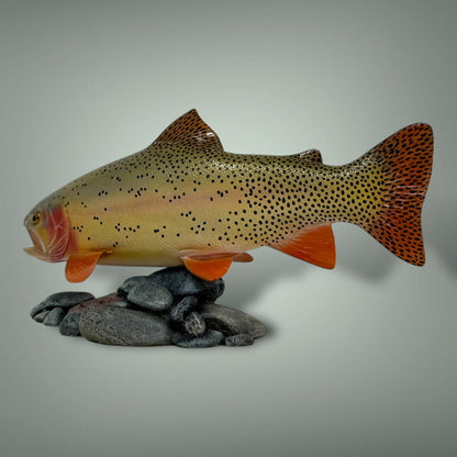 Cutthroat Trout Pedestal mount 12”