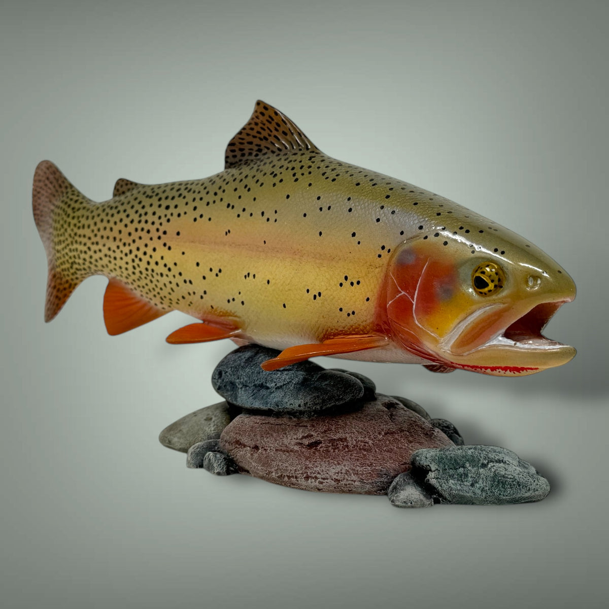 Cutthroat Trout Pedestal mount 12”